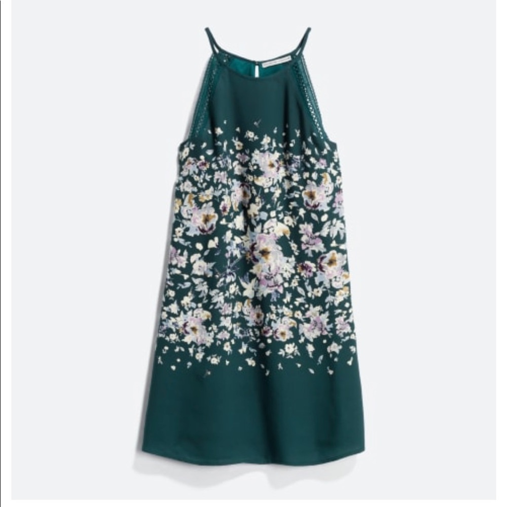 Collective Concepts Glori Crochet Trim Dress